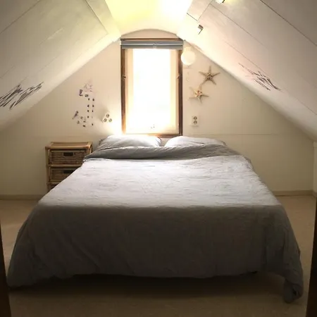 Small, Cute And Cozy Little Hippolytushoef
